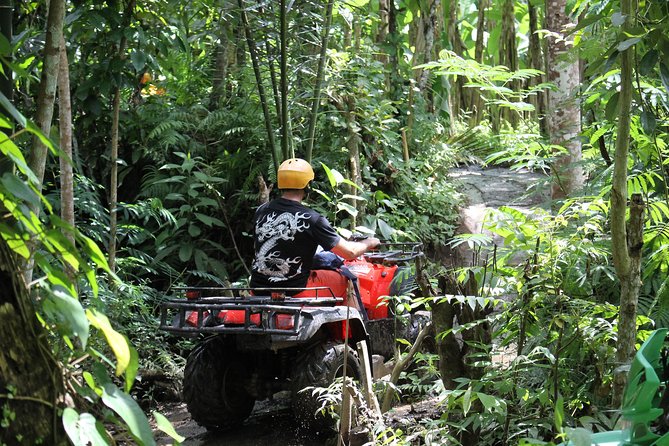 1.5 Hours Bali ATV Quad Tour - Lunch After the Dirt: Indonesian Buffet + Reset Time