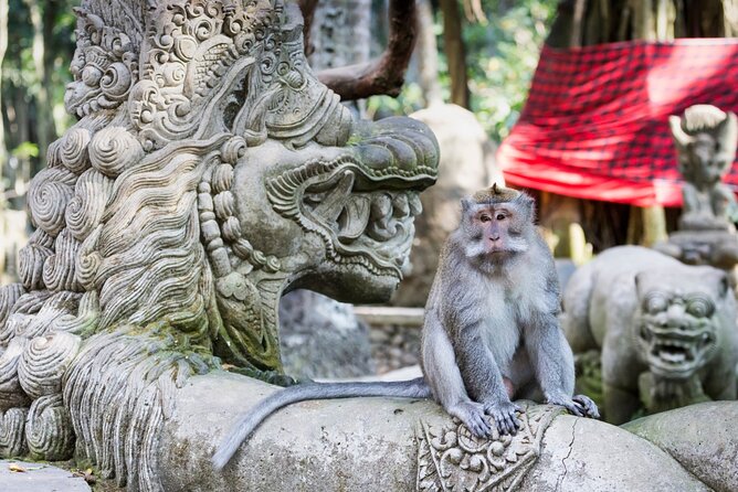 1-Day Ubud Tours All-Inclusive - Sacred Monkey Forest Sanctuary: fun with a few safety rules