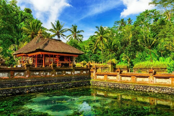 1-Day Ubud Tours All-Inclusive - Waterfalls and the jungle swing: where the day gets playful