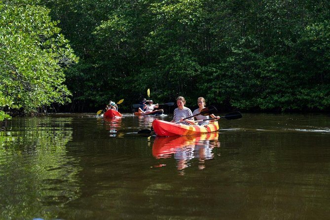 1 Hour Mangrove Tour From Lembongan with Kayak, Paddle, or Boat - Kayak Time Inside Nusa Lembongan’s Mangrove Forest