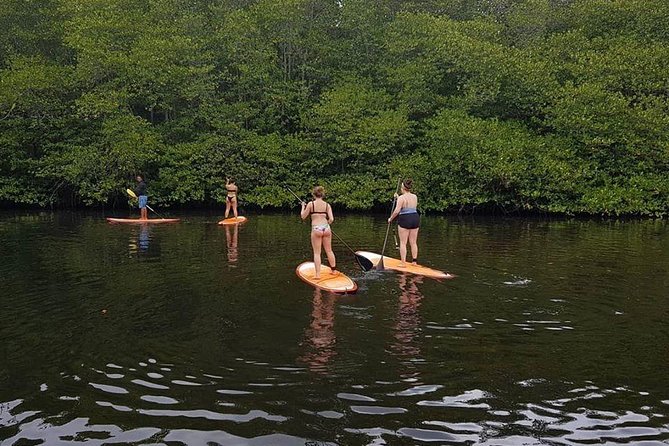 1 Hour Mangrove Tour From Lembongan with Kayak, Paddle, or Boat - Safety and Supervision: Life Vests + a Watching Staff