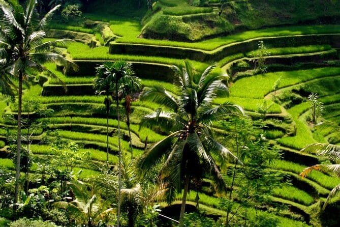 2 Days Mount Batur Sunrise Trekking With Private Ubud Day Tour - What to pack: make the cold and steep parts easier