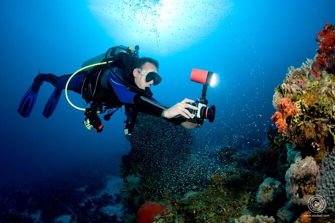 2 or 3 dives in Nusa Lembongan and Penida, for certified diver (in Lembongan) - Who this trip fits best (and who should think twice)
