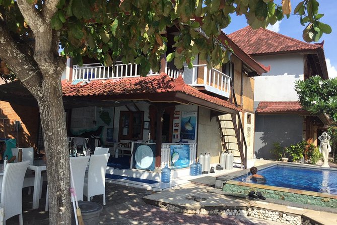 2 or 3 dives in Nusa Lembongan and Penida, for certified diver (in Lembongan) - Should you book this manta-focused day from Nusa Lembongan?