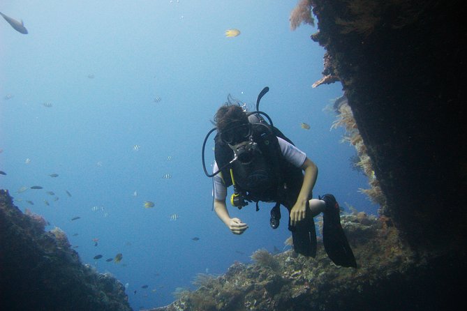 2 PADI Certified Dives at Tulamben from Bali - Equipment, briefing, and health screening: the unglamorous part that keeps it fun