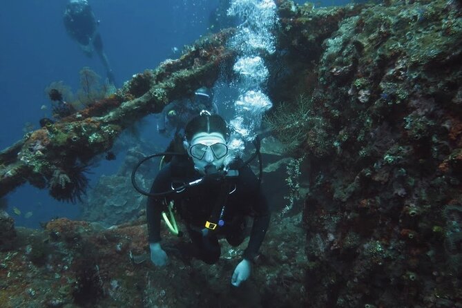 2 PADI Certified Dives at Tulamben from Bali - Getting from Denpasar to Tulamben: less stress for your schedule