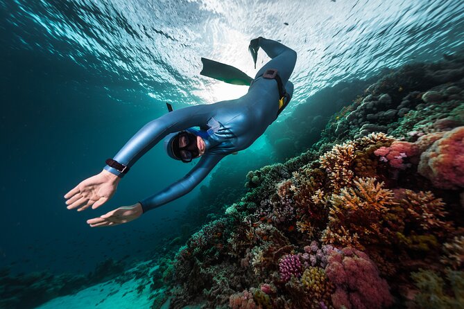 3-Day Freediving Level 1 Course - Quick Takeaways