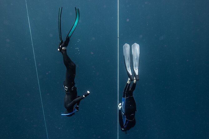 3-Day Freediving Level 1 Course - Gear and Essentials: Included, So You Don’t Waste Time Shopping
