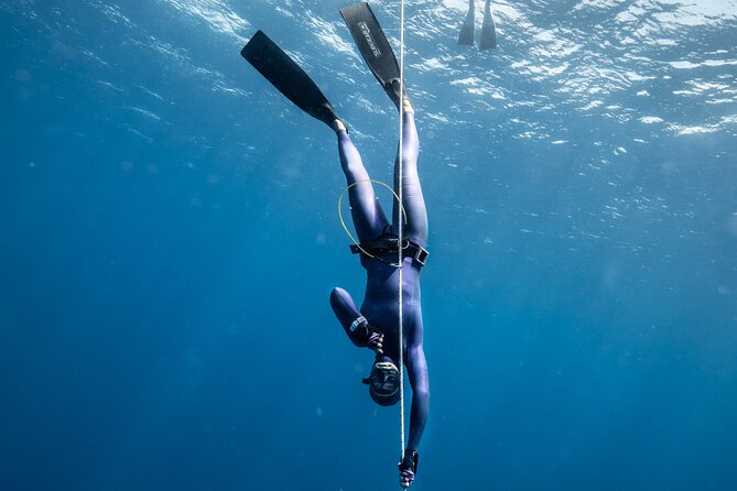 3-Day Freediving Level 1 Course - Price and Value: Is $450 a Good Deal?