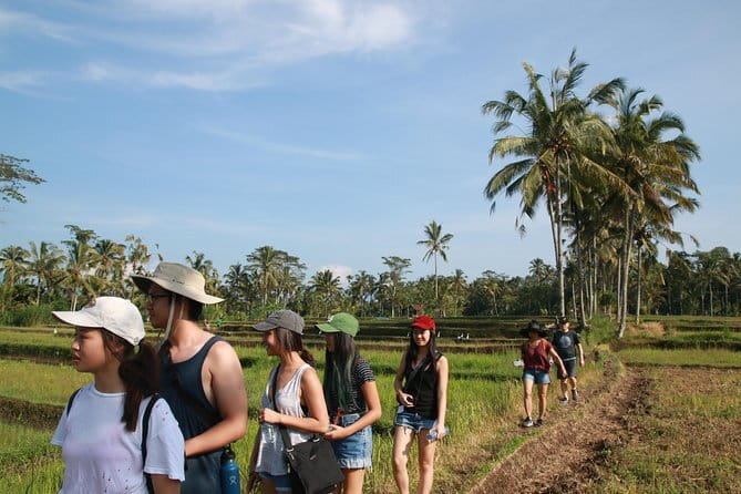 3-Day Private Sightseeing Tour of Bali with Hotel Pickup - Comfort, Timing, and How Your Driver Can Save the Day