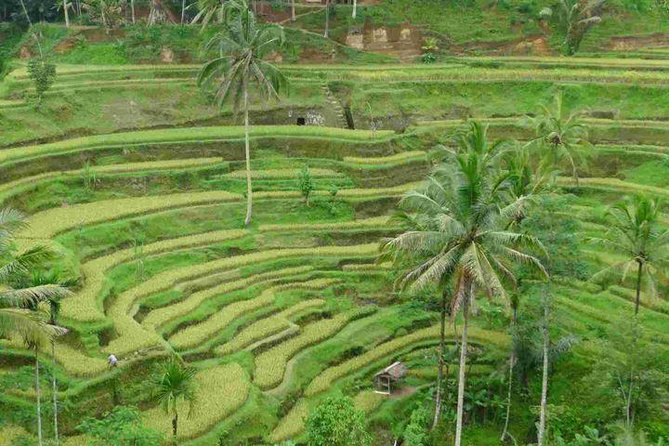 3 Days Sightseeing to the Famous Place in Bali - Who this tour fits (and who might want a different style)