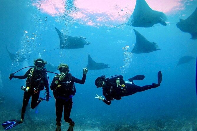 3 Epic Dives in Nusa Penida - Certified Divers' Day Trip - Key things to know before you go