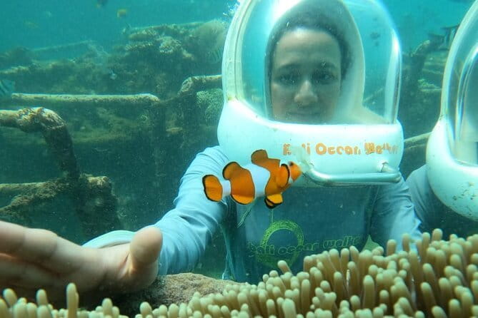30 Minutes Ocean Walking in Nusa Dua, Bali - What Your 30 Minutes Look Like (Plus the Transfer Day Flow)