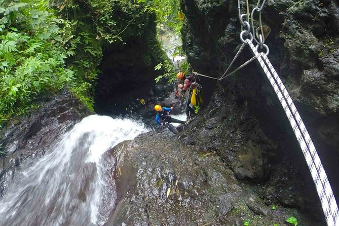 3Hrs Intermediate Canyoning in North Bali (Pickup, Lunch & GoPro) - Price and value: what $149 covers (and why it’s not just “the ride”)