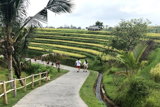 4-Hour Private Tour in Jatiluwih Terraces and Butterfly Park - Bali Butterfly Park: a calm, close-up nature stop in 1 hour