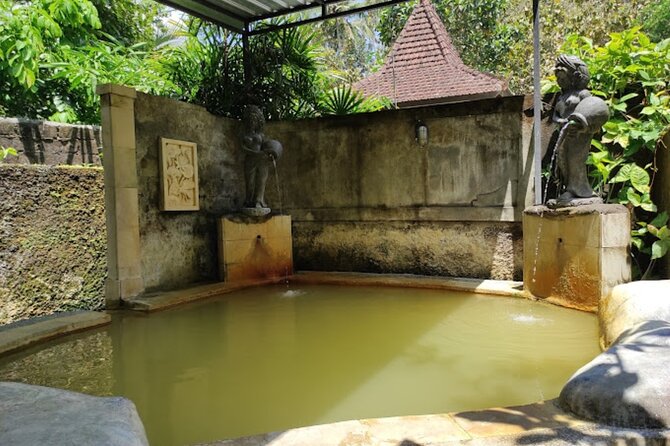 4-Hour Private Tour in Jatiluwih Terraces and Butterfly Park - Who this private tour is best for