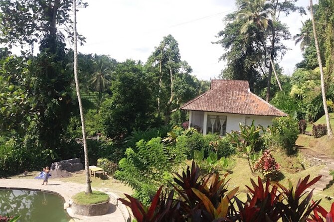 4-Hour Private Tour in Jatiluwih Terraces and Butterfly Park - Should you book this 4-hour Jatiluwih and butterflies tour?
