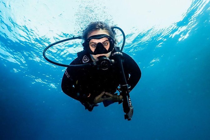 5 Fun Dives in Nusa Lembongan (for certified divers) - Swim with a Mola Mola - Mangrove Point on Nusa Lembongan: change of habitat, better breathing room