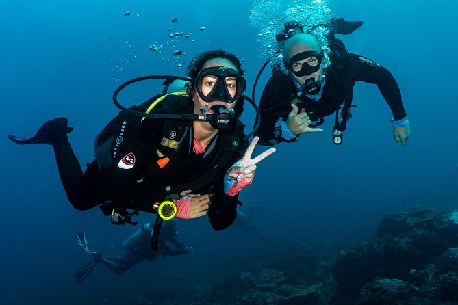5 Fun Dives in Pemuteran (for certified divers) - Exploration in Menjangan Park - The “best of Menjangan” sites: Eel Garden, POS 2 tombant, Mandarin, and caves