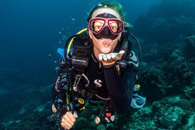 5 Fun Dives in Pemuteran (for certified divers) - Exploration in Menjangan Park - The daily rhythm: meet early, boat over, and keep moving