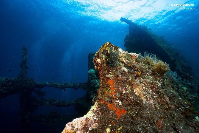 5 Fun Dives in Tulamben (for certified divers) - Discover famous diving sites - Why Tulamben’s wrecks and lava drop-off make sense for certified scuba people