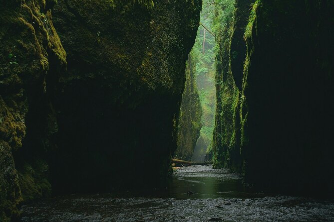 5Hrs Advanced Canyoning (50m) 12 Rappels (Pickup, Lunch & GoPro) - Lunch, Showers, and the GoPro Media You’ll Actually Use