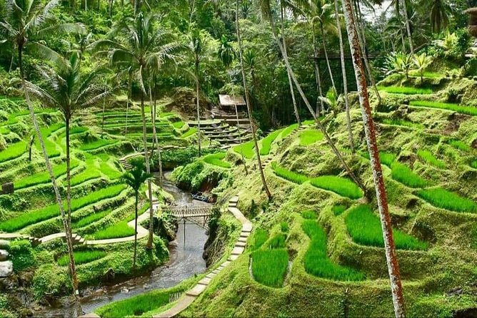 6 Days Best Of Bali And Nusa Penida All Inclusive Private Tour - Why This 6-Day Bali and Nusa Penida Mix Works So Well
