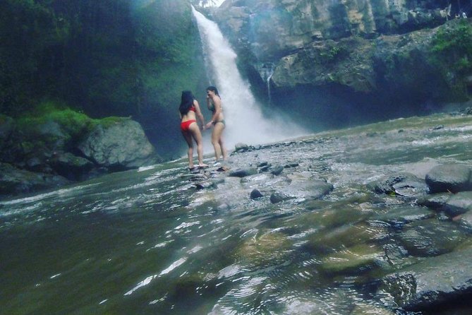 6 Days Best Of Bali And Nusa Penida All Inclusive Private Tour - Private Guide, Private Driver: What You Gain (and What You Still Need to Manage)