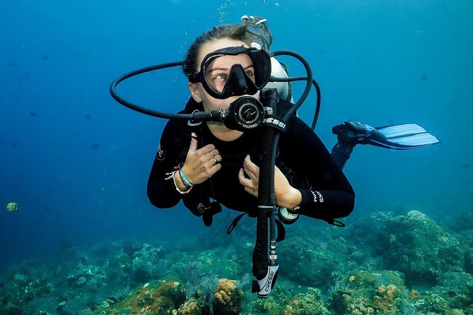 7 Fun Dives in Nusa Lembongan (for certified divers) - Premium Value Package - Stop-by-stop: Crystal Bay, Manta Point, Mangrove Point, Toyapakeh, and Jungut Batu