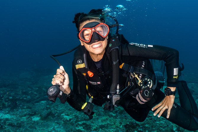 7 Fun Dives in Pemuteran (for certified divers) - Exploration in Menjangan Park - Where this plan might feel heavy: transfers, site conditions, and drifting-style days
