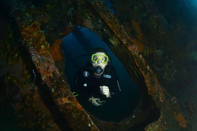 7 Fun Dives in Tulamben (for certified divers) - Premium Value Package - Tulamben Beach and the Coral Garden: Variety Without the Chaos