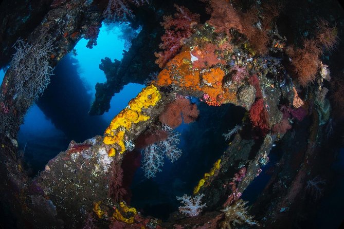 7 Fun Dives in Tulamben (for certified divers) - Premium Value Package - Drop-Off Formed by Lava: Where the Underwater Mood Changes
