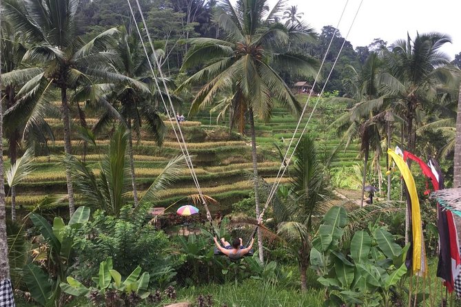 Adventures Tour : Bali Hidden Canyon Trekking - Beji Guwang - A Small-Group Day of Water, Temples, and Real Adventure