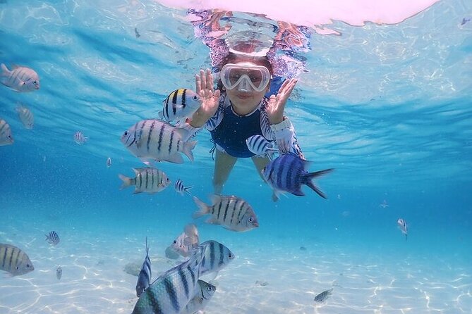 (ALL- IN) Bali Snorkeling Blue Lagoon with Waterfall Visit - Who This Tour Fits Best—and Who Should Skip It