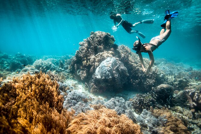 All Inclusive Bali Blue Lagoon and Tanjung Jepun Snorkeling - Key things to know before you go