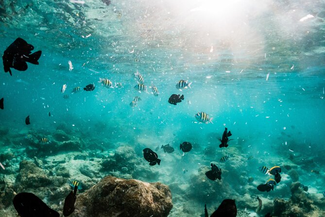 All Inclusive Bali Blue Lagoon and Tanjung Jepun Snorkeling - Blue Lagoon Beach: Coral Viewing and the Crowds Factor
