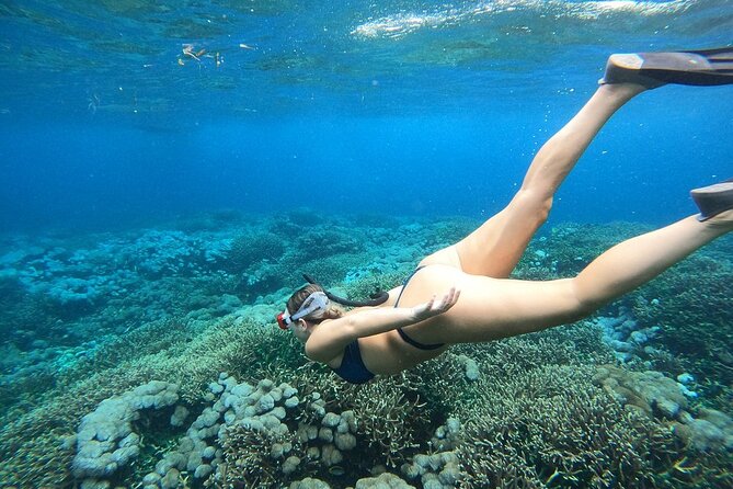 All Inclusive Bali Blue Lagoon and Tanjung Jepun Snorkeling - All-Inclusive Gear and Support: Safety Without the Lecture
