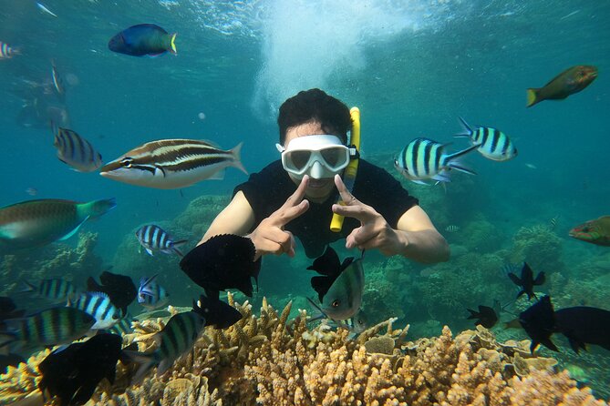 All Inclusive Bali Blue Lagoon and Tanjung Jepun Snorkeling - Lunch, Showers, and Changing Rooms: The Comfort Stuff That Matters