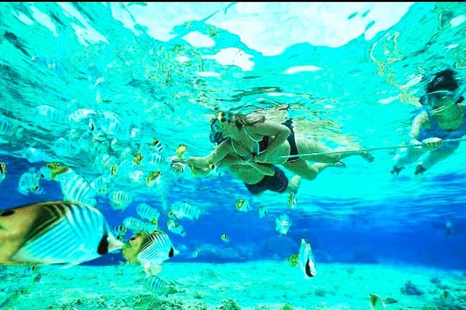 All Inclusive : Bali Blue Lagoon Snorkeling, Lunch, and Transport - Value check: what’s included, what costs extra, and what to prepare
