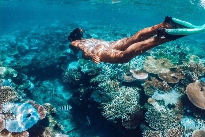 All Inclusive : Bali Blue Lagoon Snorkeling, Lunch, and Transport - Ubud to Padangbai: the drive time you should budget for