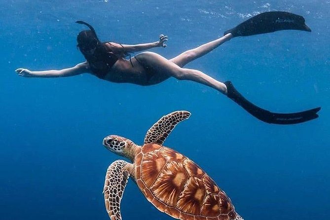 All Inclusive : Bali Blue Lagoon Snorkeling with Lunch &Transfers - Key things I’d mark on your checklist