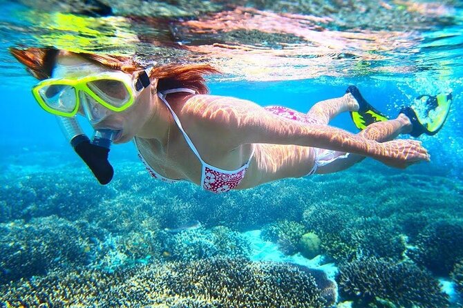 All Inclusive : Bali Blue Lagoon Snorkeling with Lunch &Transfers - Price and value: how $39 fits the full day