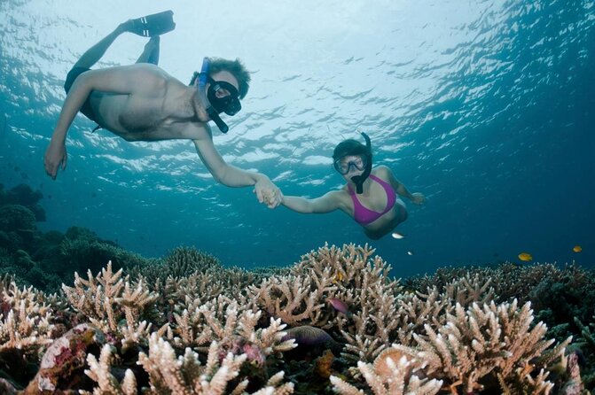 All Inclusive Bali Scuba Diving at Tulamben with Lunch -Transport - Key Things I’d Watch Before Booking