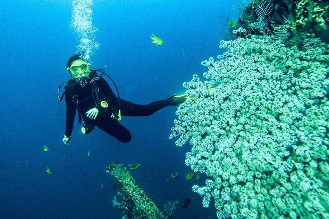 All Inclusive Bali Scuba Diving at Tulamben with Lunch -Transport - Picking Your Underwater Spot: Blue Lagoon, Bias Tugel Beach, and Shark Point
