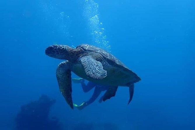All Inclusive Bali Scuba Diving at Tulamben with Lunch -Transport - The First Stop: Safety Briefing and Gear Check That Sets the Tone