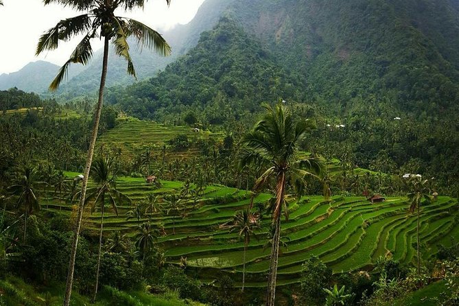 All inclusive Bali Sekumpul Waterfalls Trekking Tour - What to pack (so your photos look good and your body feels good)