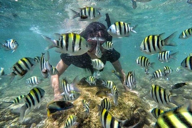 All Inclusive Bali Snorkeling Blue Lagoon tour experience - Blue Lagoon Snorkel Around Midday: Great Spot, Wind Can Change the Day