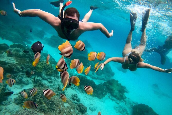 All Inclusive Blue Lagoon Snorkeling with Bali ATV Quad Adventure - Price and Value: Is $70 Fair for an ATV + Snorkel Day?