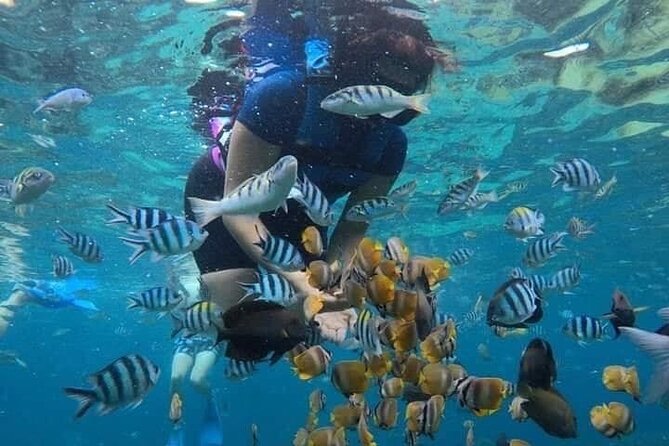 All Inclusive Blue Lagoon Snorkeling with Bali ATV Quad Adventure - Who This Tour Fits Best in Your Bali Plan