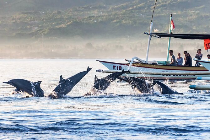 All inclusive Lovina Dolphins Sunrise tour, Waterfall & Temple - Price and value: what $89 covers (and what you pay extra)